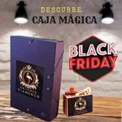 La caja Mágica