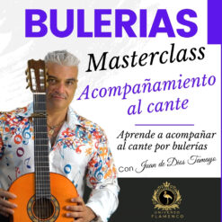 Master Acompañamiento por Bulerías