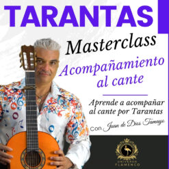 Master Acompañamiento por Tarantas