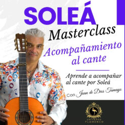 Master Acompañamiento por Soleá